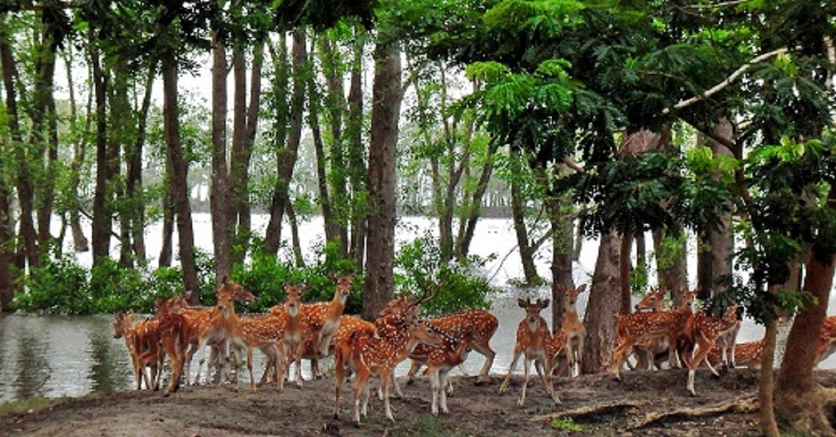 ৮’শ বছরের পুরনো দ্বীপে ঘুমায় সম্ভাবনা